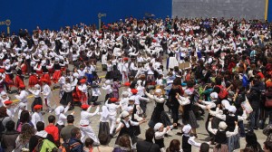Día del Dantzari Txiki Eguna de Navarra